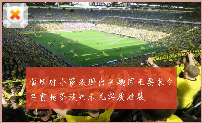 黄蜂对小萨表现出兴趣国王要求今年首轮签谈判未见实质进展